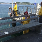 IMG-20181019-WA0008